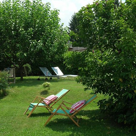 자가롤로 Olive Tree Hill B&B 외부 사진