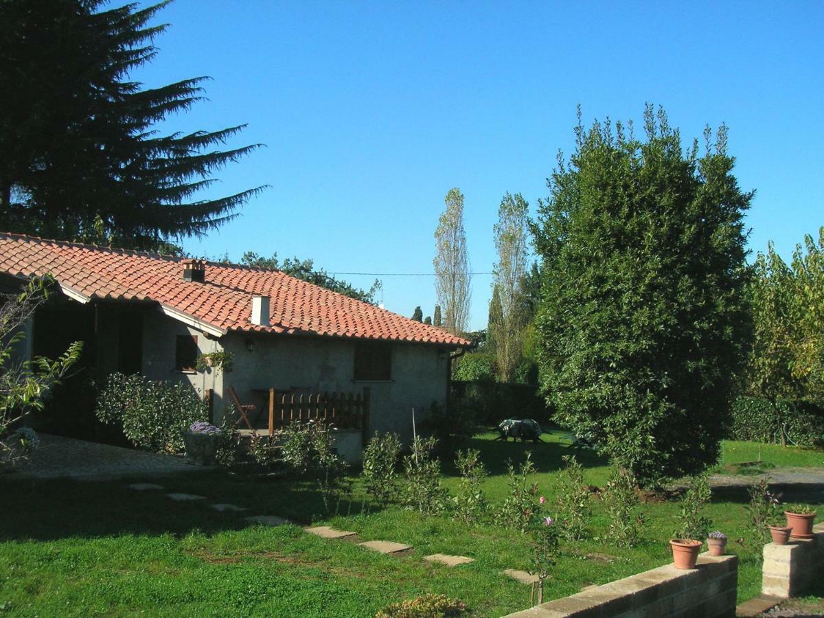 자가롤로 Olive Tree Hill B&B 외부 사진