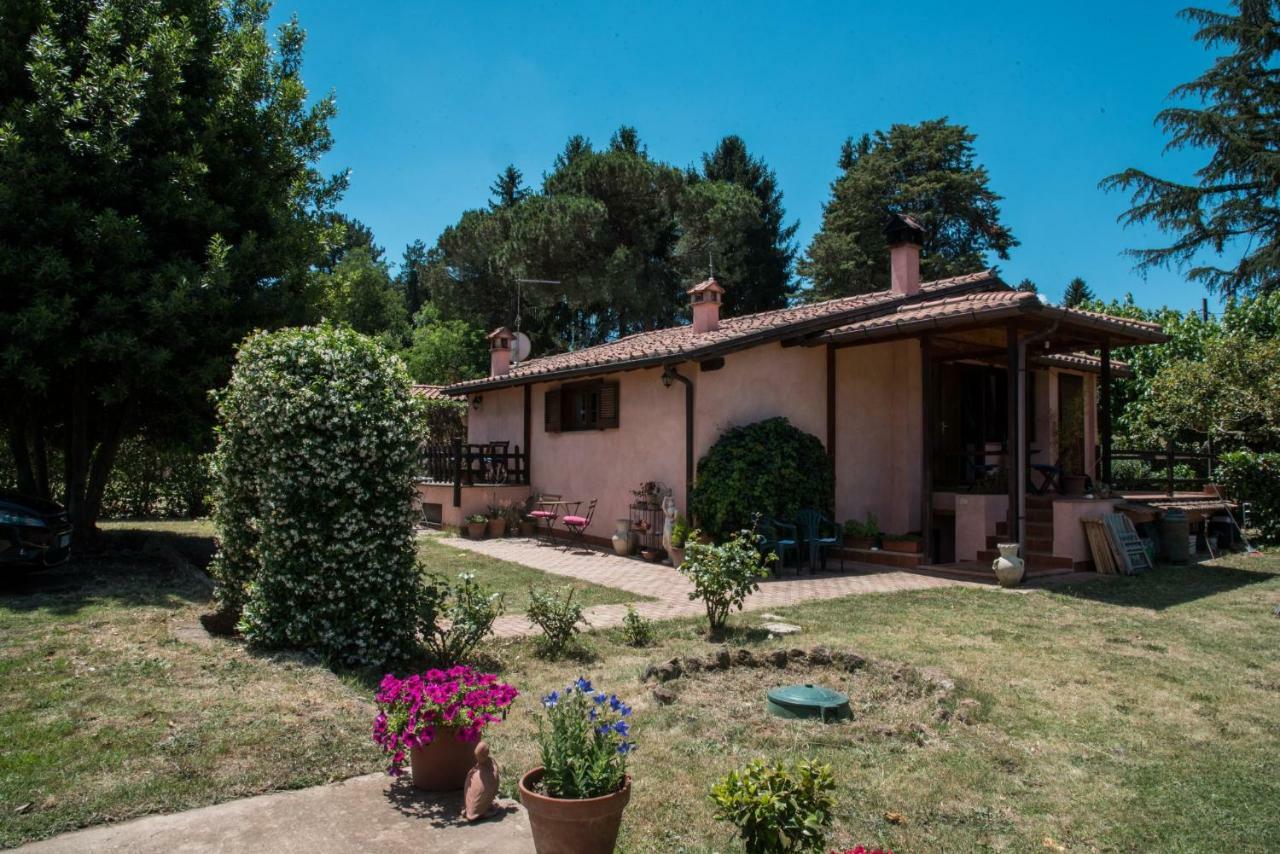 자가롤로 Olive Tree Hill B&B 외부 사진